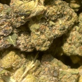 Bulk Clearance 37 - Jokers