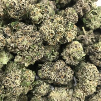 Exotic Flower 4 - Roxanne