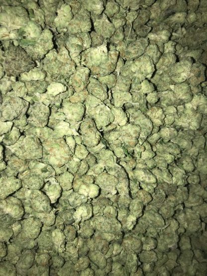 Bulk Clearance 21 - First Class Funk - Image 2