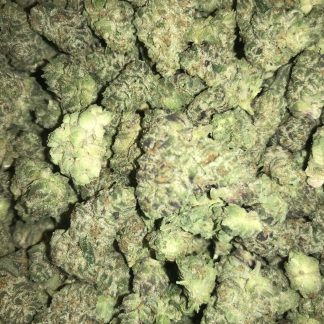 Bulk Clearance 25 Grape pie