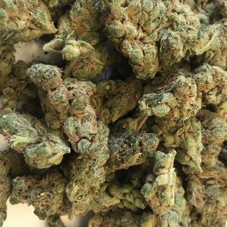 Bulk Clearance 12 - Guava Tangie