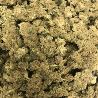 Bulk Clearance 41 - Meat Breath