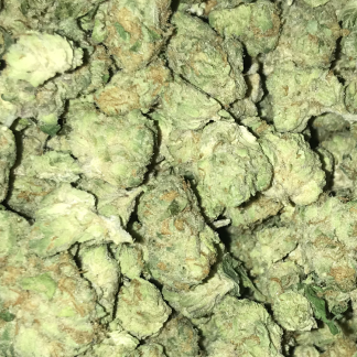 Bulk Clearance 21 - First Class Funk