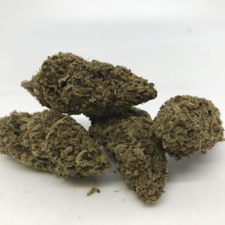 Value Flower 1 - Mimosa