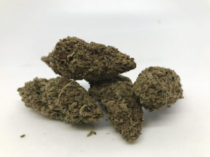 Value Flower 1 - Mimosa