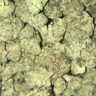 Bulk Clearance 39 - GG4 X Apricot (small/medium nugs)