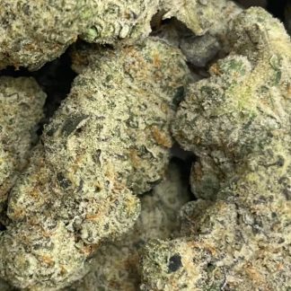 Exotic Flower 1 - Wonka Bars