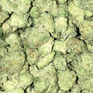 Bulk Clearance 18 Alien OG