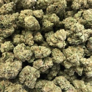 Exotic Flower 14 - Mac 1