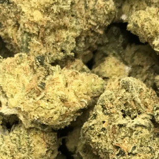 Bulk Clearance 7 - Black Jack