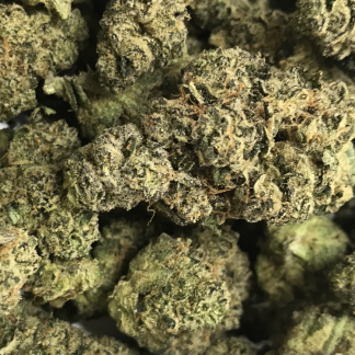 Exotic Flower 7 - OG Cookies