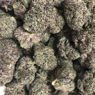 Exotic Flower 10 - Ice Cream Cake