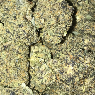 Bulk Clearance 17 Sunset Sherbet