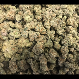 Bulk Clearance 28 - Orange Zkittles