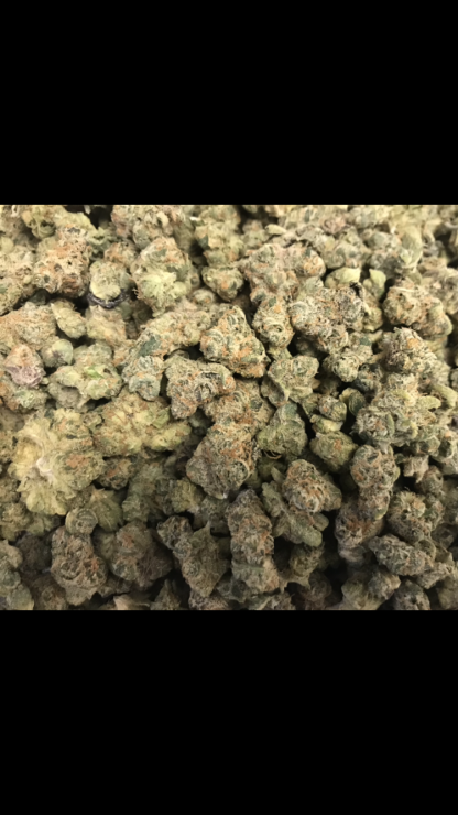 Bulk Clearance 28 - Orange Zkittles