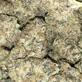 Exotic Flower 13 - Lemon Cherry Gelato
