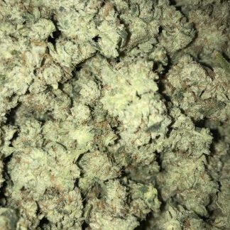 Bulk Clearance 11 - Gorilla Glue / Gorilla Dawg Smalls