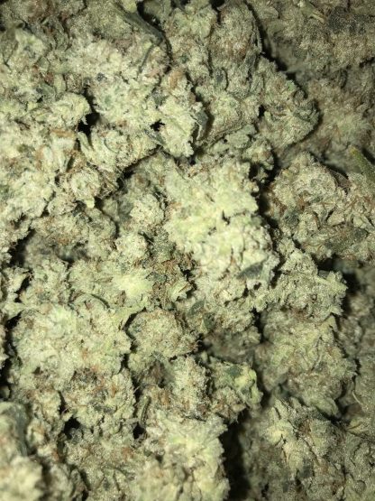 Bulk Clearance 11 - Gorilla Glue / Gorilla Dawg Smalls