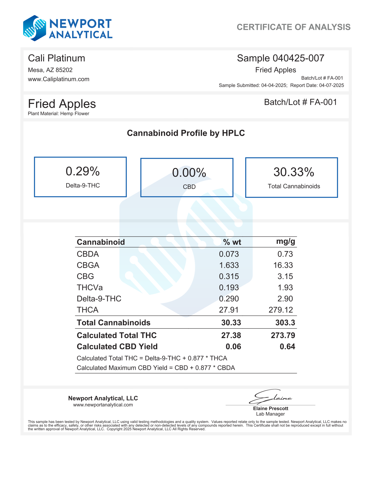 Bulk Clearance 24 - Fried Apples - Image 3