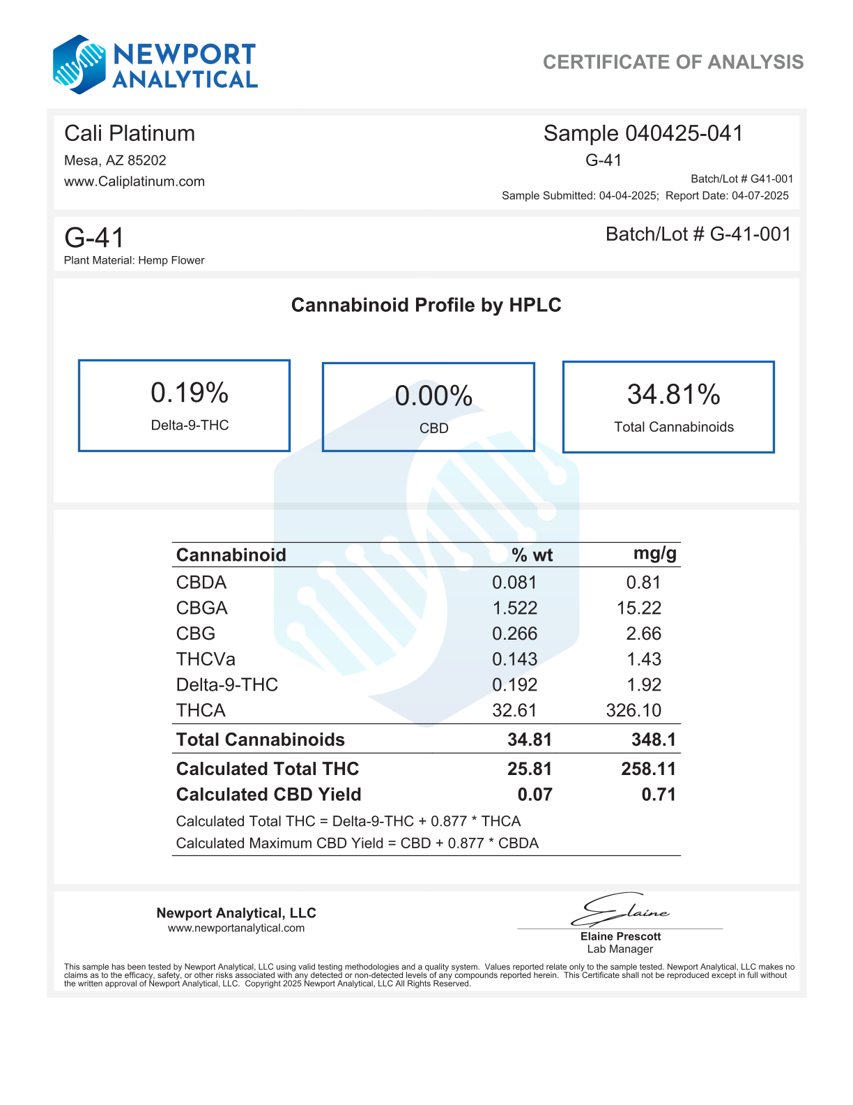 Bulk Clearance 9 - Gelato 41 - Image 3