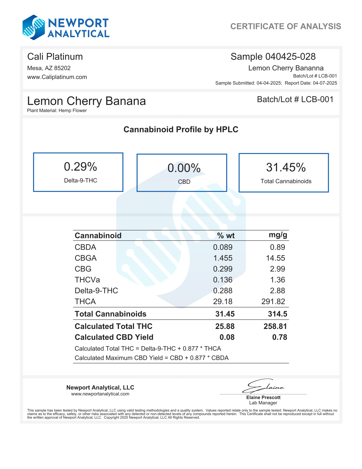 Exotic Flower 13 - Lemon Cherry Gelato - Image 3