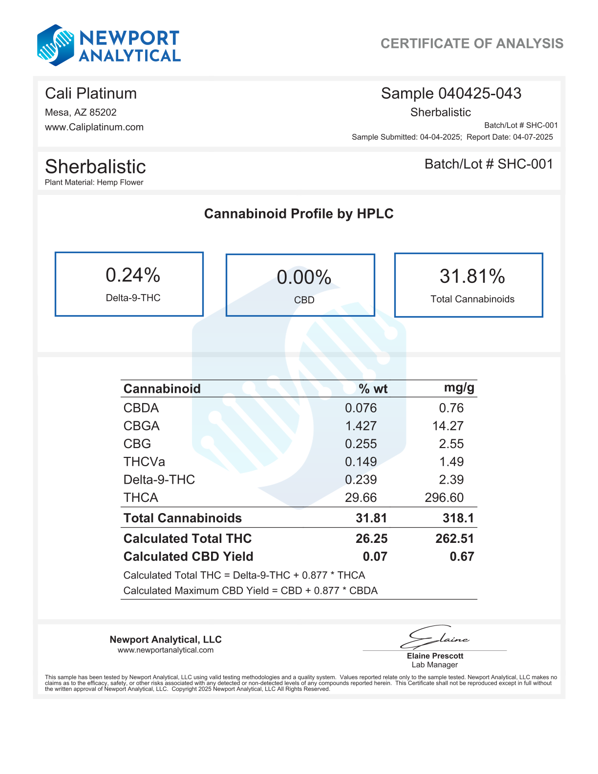 Bulk Clearance 5 - Sherbalastic - Image 2