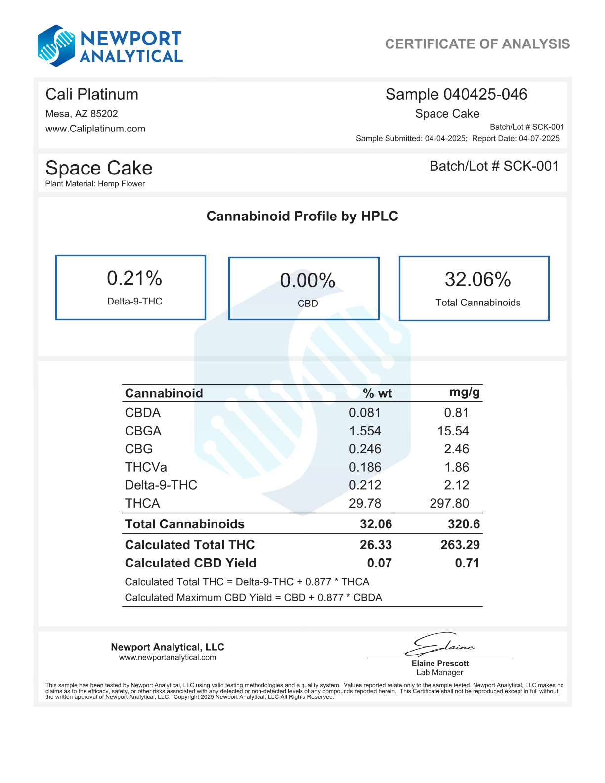 Bulk Clearance 2 - Space Cake - Image 3